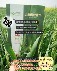 久久国产青,久久青生成新时代文化新风尚