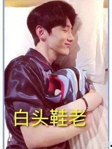 吃瓜娱乐圈白敬亭,娱乐圈的瓜田新秀