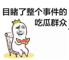 吃瓜群众英文热词的解释是什么